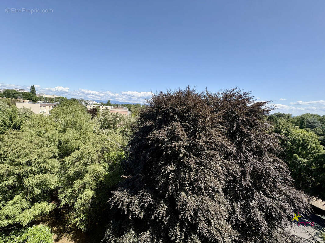 Appartement 105 m² à Strasbourg  - photo 5