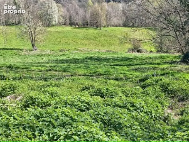 Grange 104m² et terrains agricoles- 12939m² - photo 7