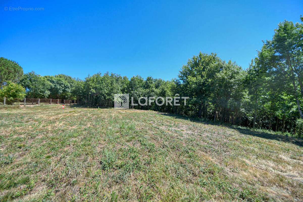 Terrain à LISLE-SUR-TARN