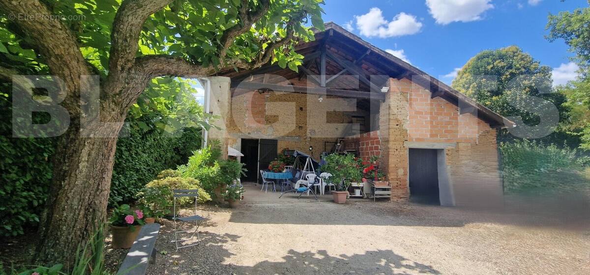 20250728_150037 - Maison à CASTELSARRASIN