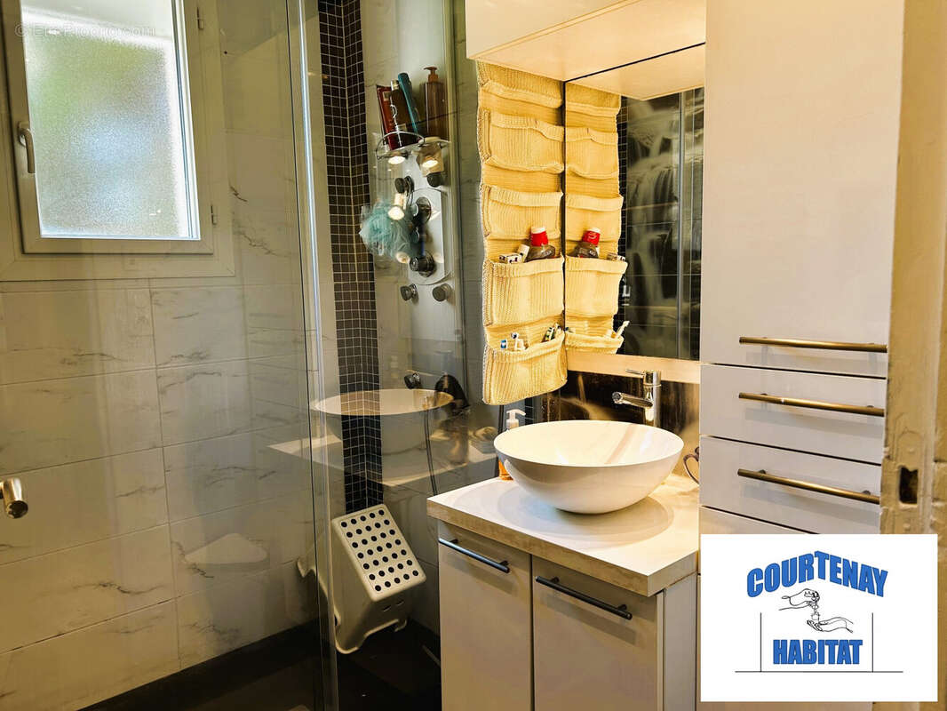 Maison 149 m² à Courtenay  - photo 4