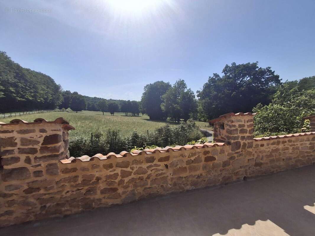 Maison 275 m² à Chasseneuil-Sur-Bonnieure  - photo 4