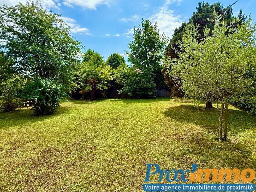 Terrain à COUBLEVIE