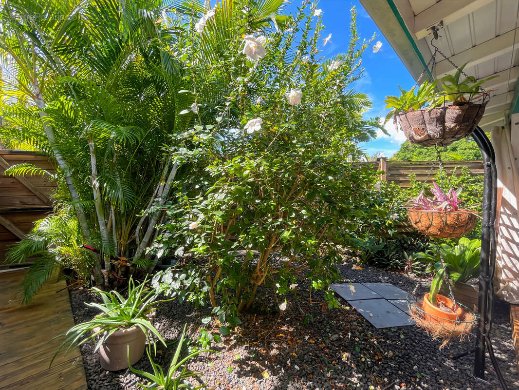 Appartement à SAINTE-ANNE