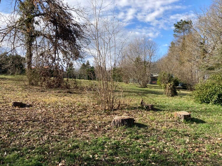 Terrain à CHATEAU-L&#039;EVEQUE