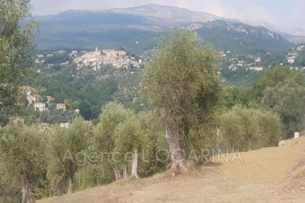 Terrain à OPIO
