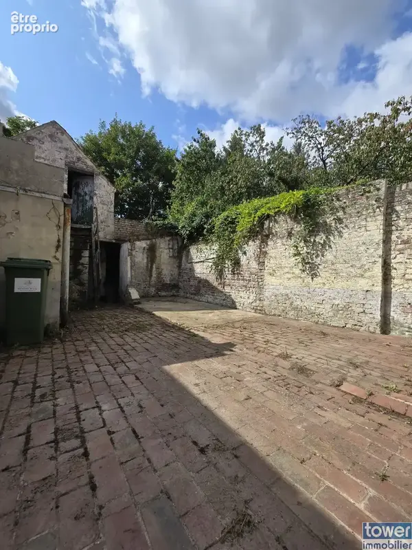 Maison avec jardin - photo 14
