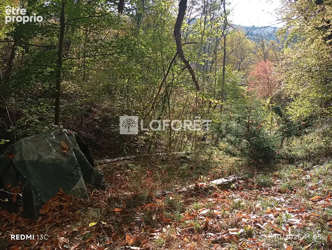 Maison 55 m²/929m² - Prats De Mollo - photo 16