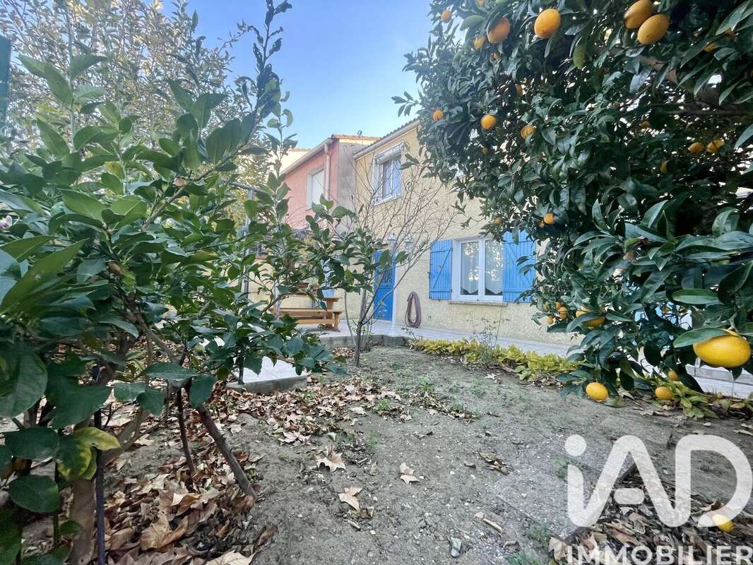Photo 6 - Maison à PERPIGNAN