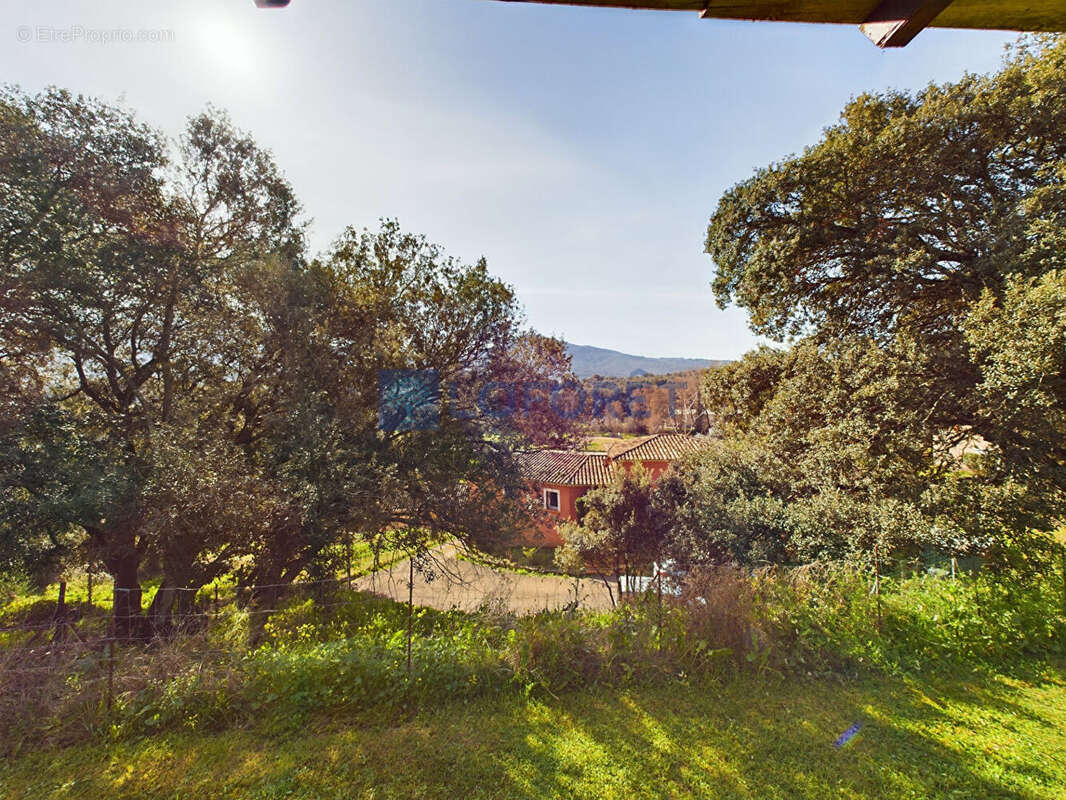 Maison à BASTELICACCIA