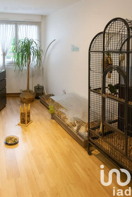 Photo 5 - Appartement à BISCHHEIM