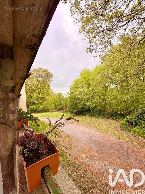Photo 4 - Appartement à PETITE-ROSSELLE