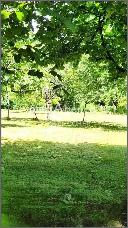 Grande maison - photo 3