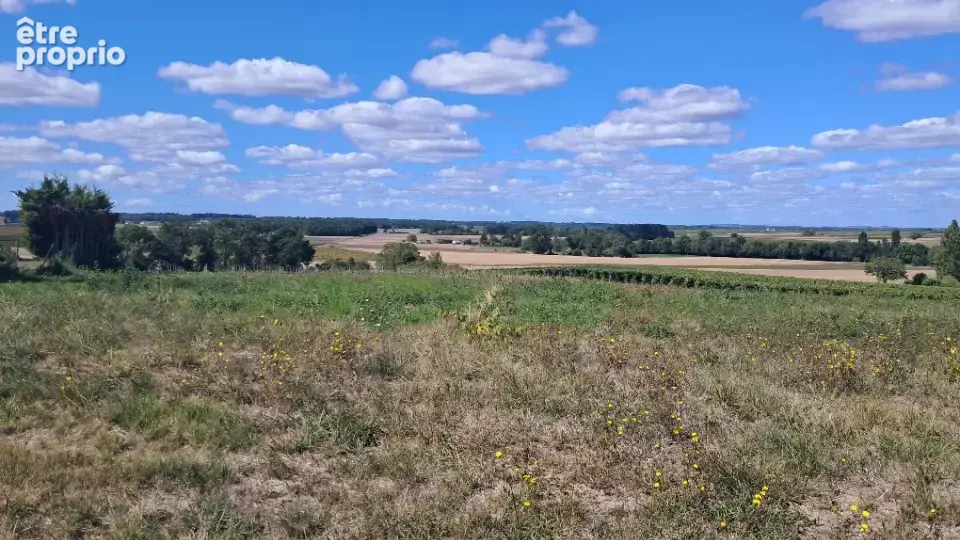 Terrain à SAINT-MAIGRIN