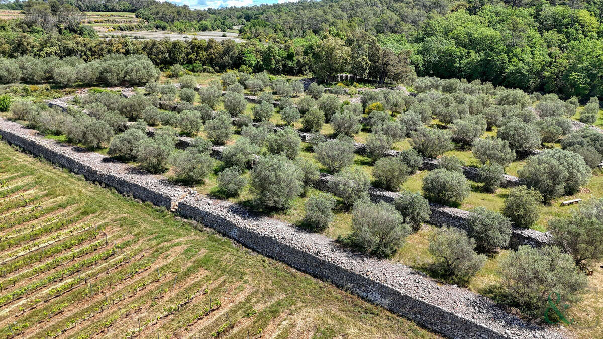 Terrain à CARNOULES