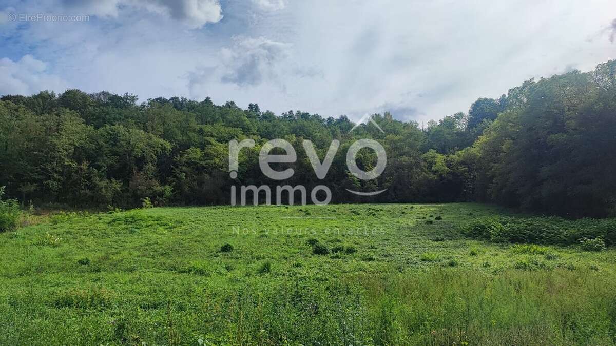 Terrain à FLEURIEU-SUR-SAONE