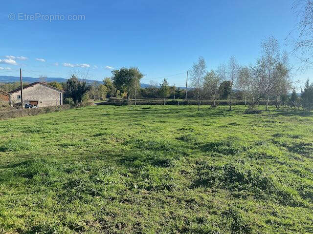 Terrain à SAINT-BONNET-DE-CRAY