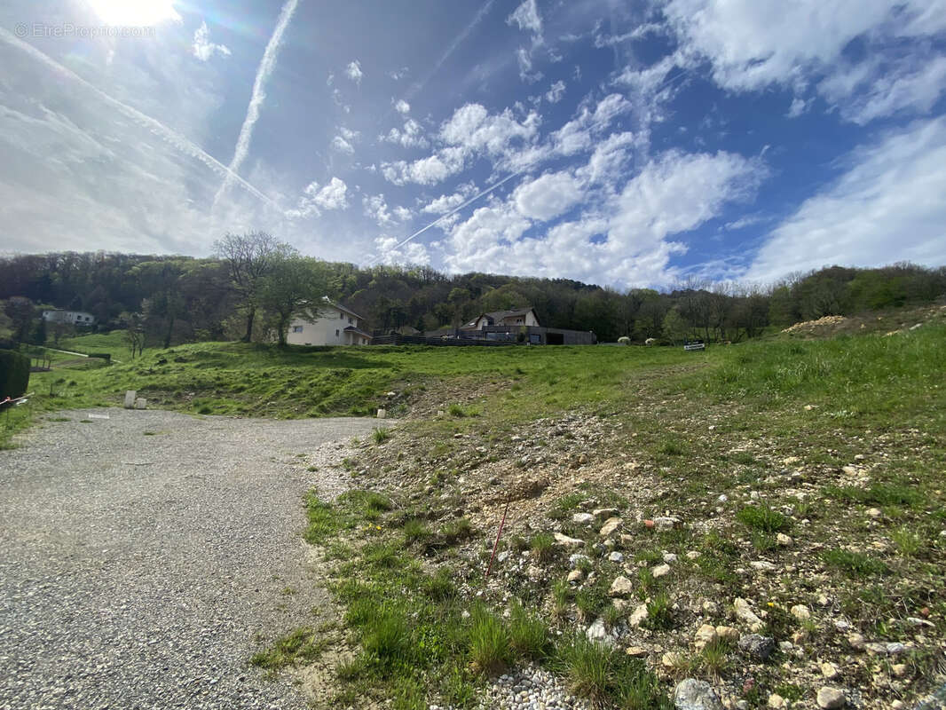 Terrain à SAINT-CASSIN