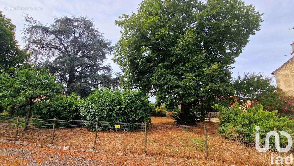 Photo 2 - Terrain à PORTETS