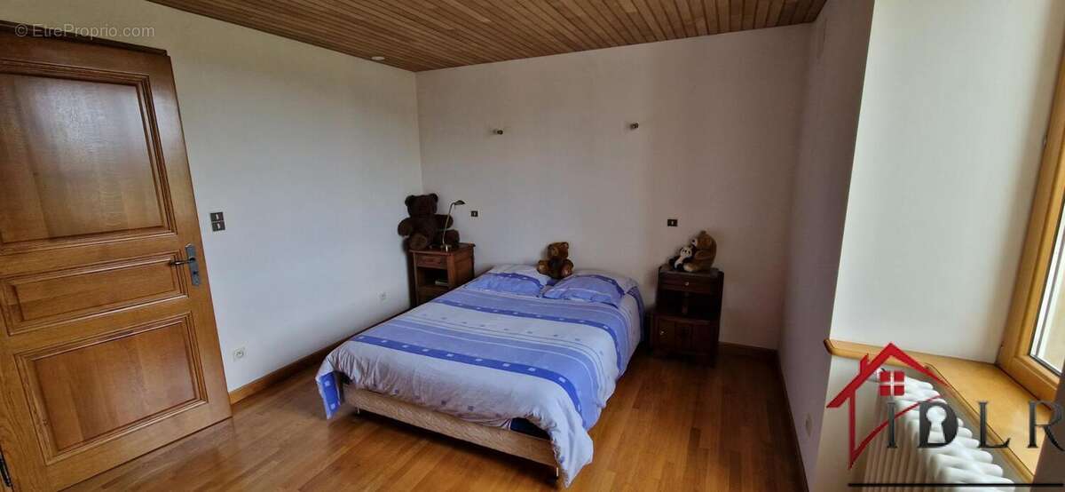 Commerce à LANEUVELLE