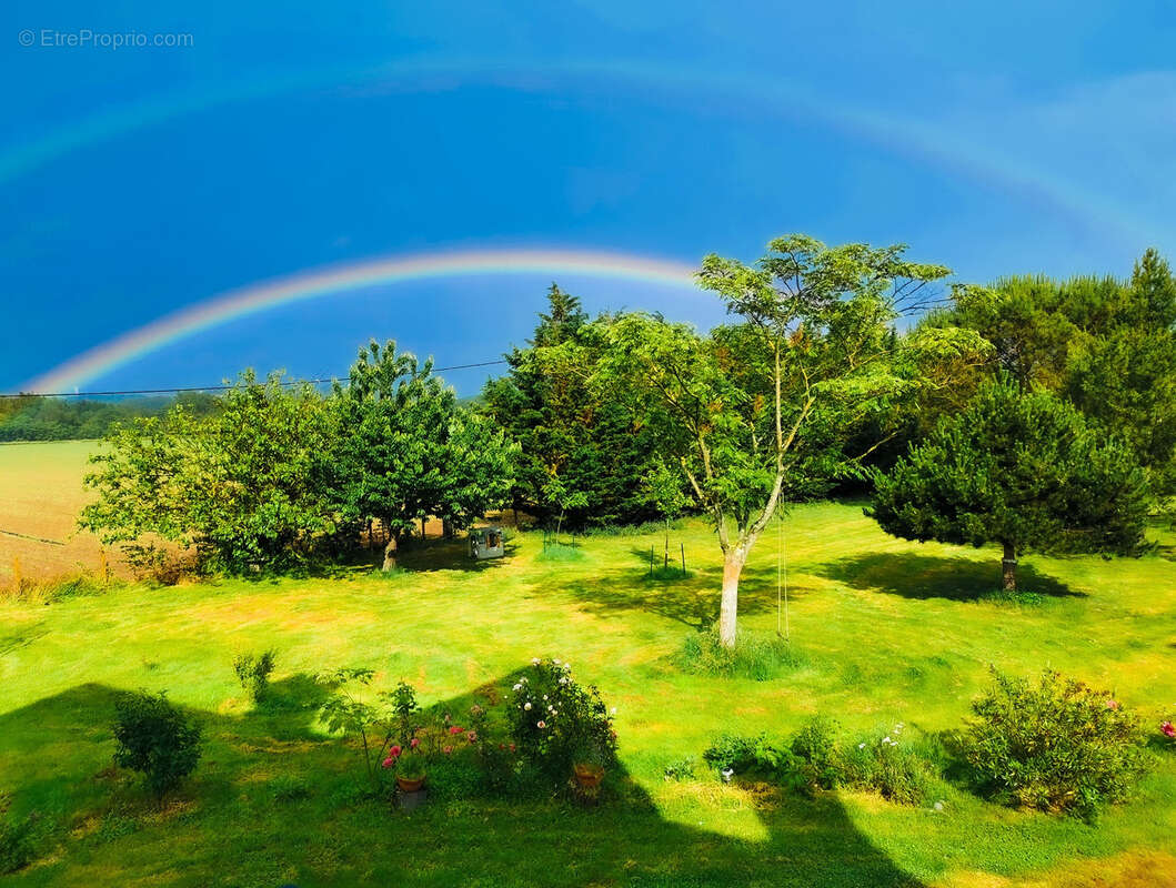 Maison à CINTEGABELLE