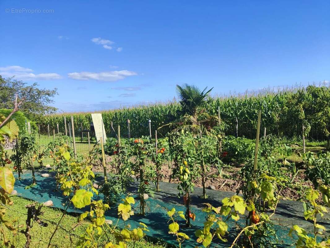 Maison à PEYREHORADE