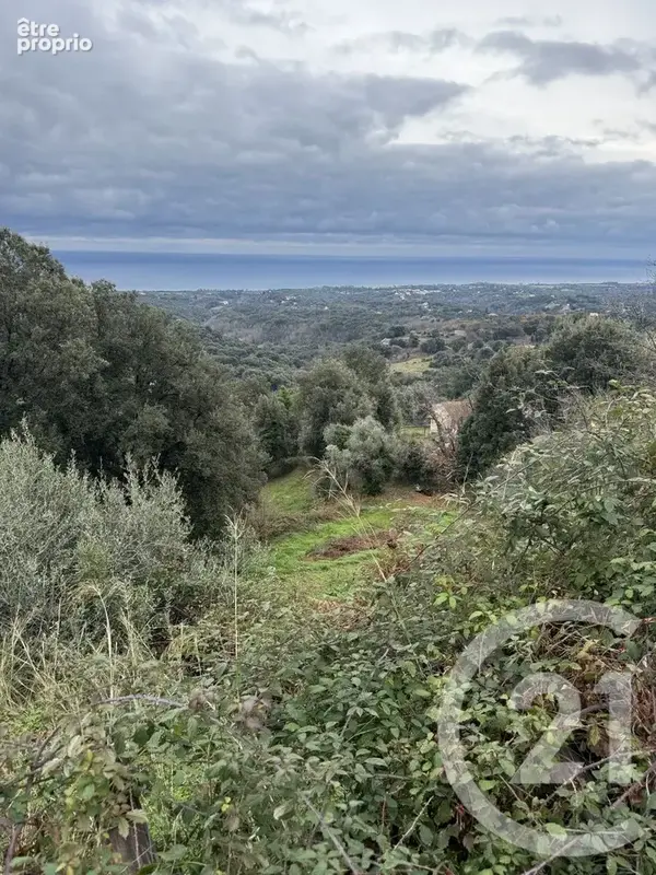 Terrain 7 200 m² à vendre à Cervione (20221) - photo 2