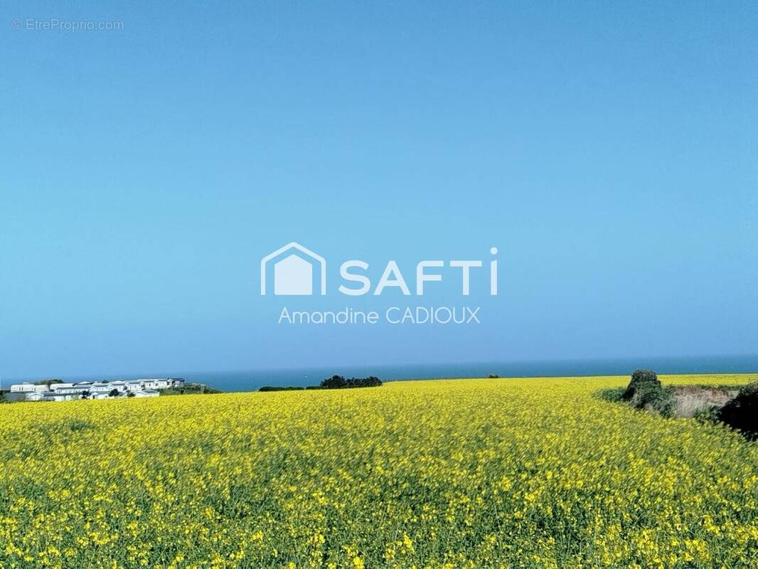 Photo 1 - Maison à VIERVILLE-SUR-MER