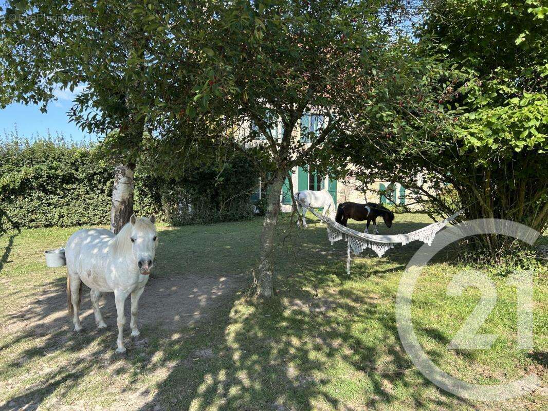 Maison à HESDIN-L&#039;ABBE