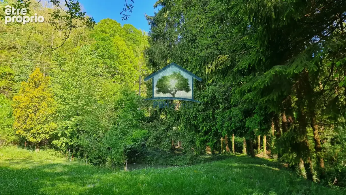 Mitschdorf - hangar + etang - photo 6