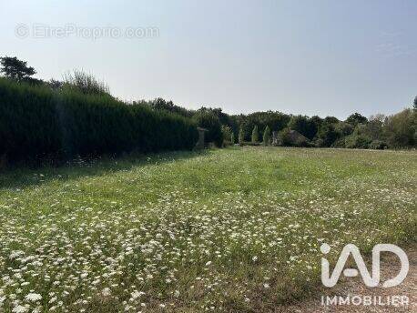 Photo 1 - Terrain à LA MAROLLE-EN-SOLOGNE