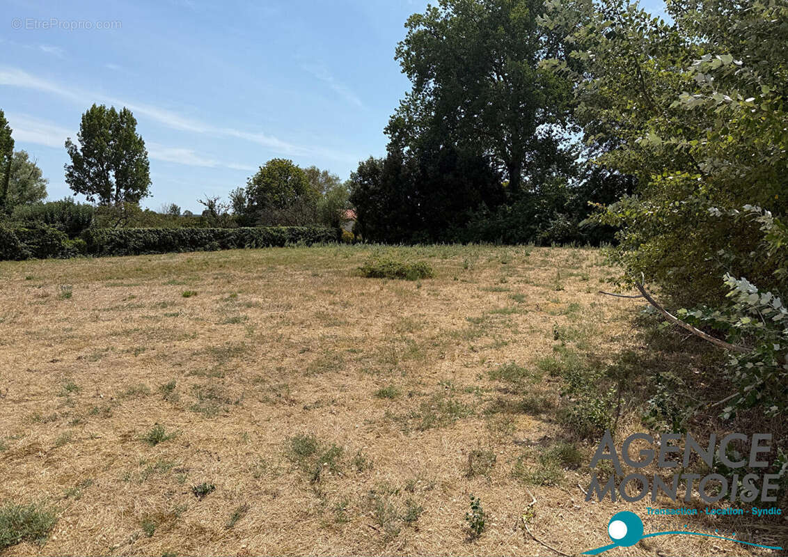 Terrain Notre Dame De Monts 800 m2 - photo 2
