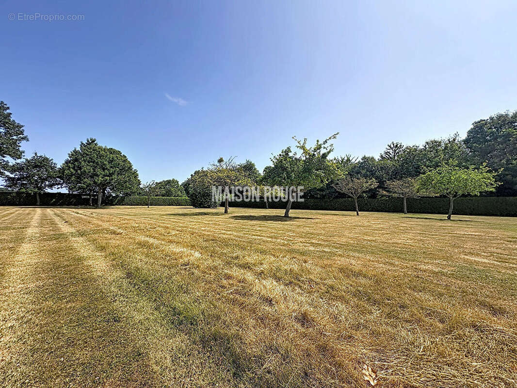 Étables-sur-Mer : Maison en pierre rénovée avec beaucoup de goût, extension contemporaine, 4 chambres et 4 200 m² de jardin au c - photo 13