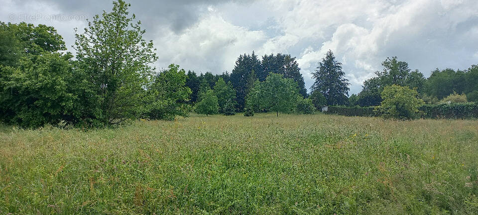 Terrain à MONTPON-MENESTEROL