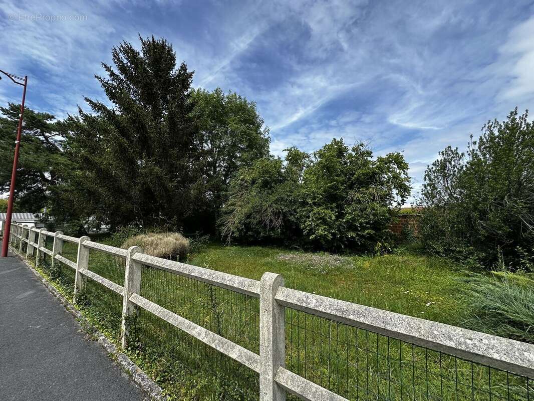 Terrain à BEINE-NAUROY