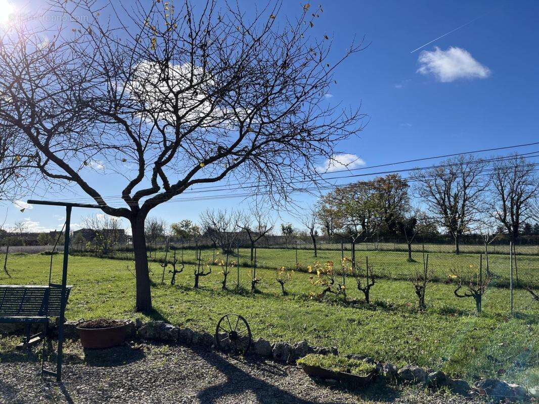 Maison à CORDES-SUR-CIEL