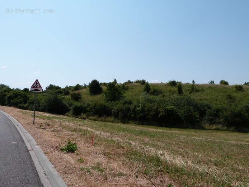 Terrain à HAMBACH
