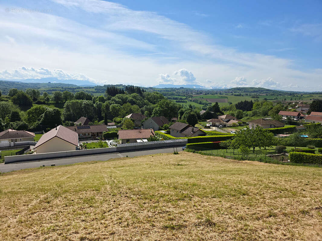 Terrain à BELMONT