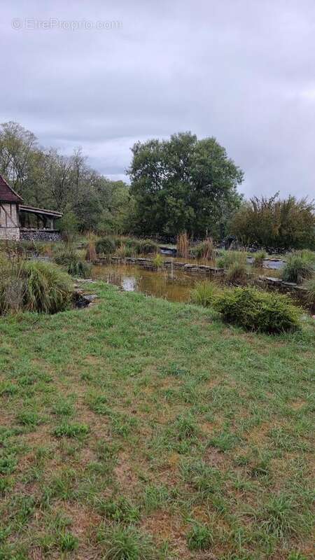 Bassins - Maison à GRAMAT