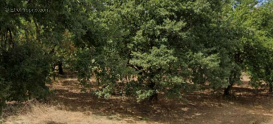 Terrain à SAINT-DONAT-SUR-L&#039;HERBASSE