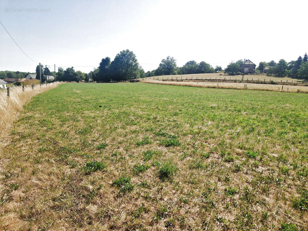 Terrain à PALAZINGES