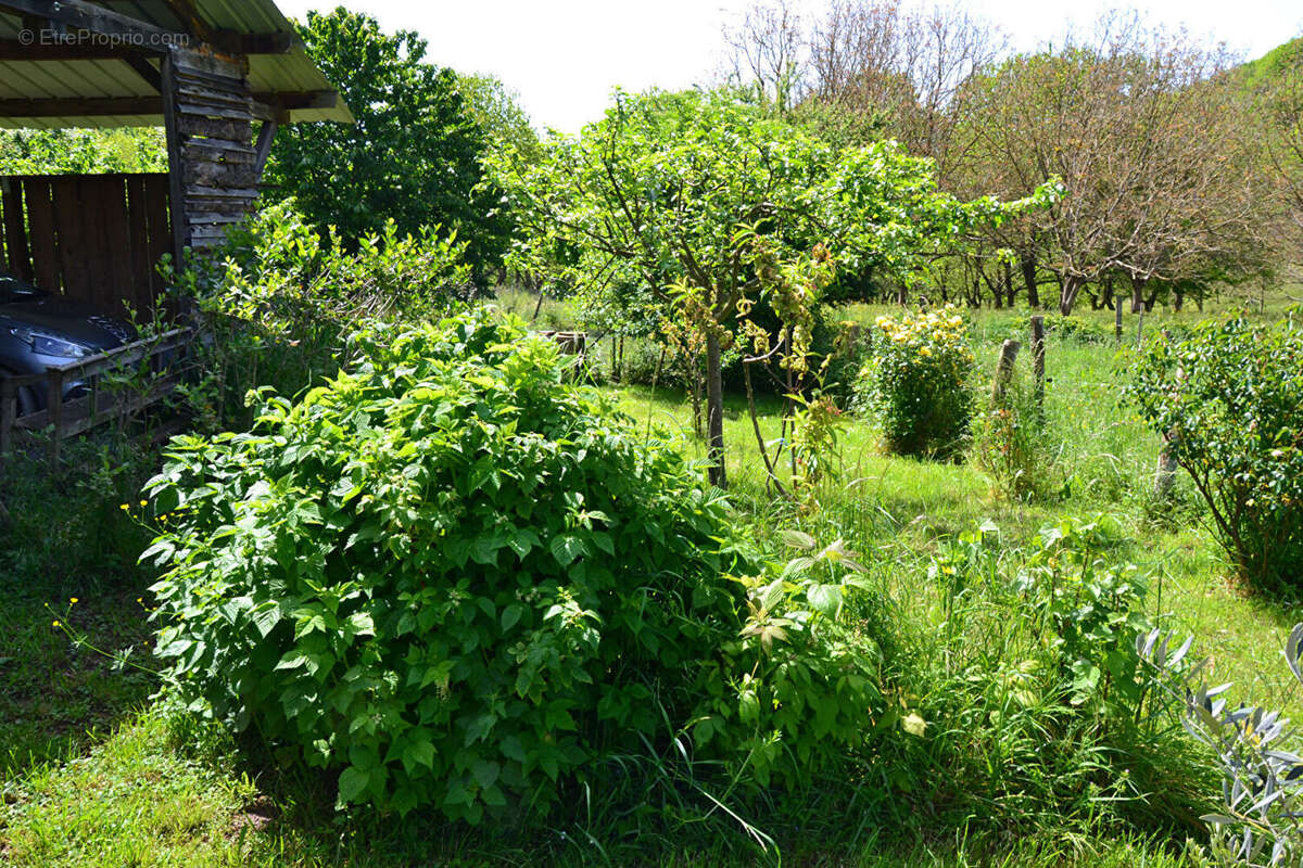Courniou dans hameau maison  de 200m²  DPE  B avec 653 m² de terrain - photo 14