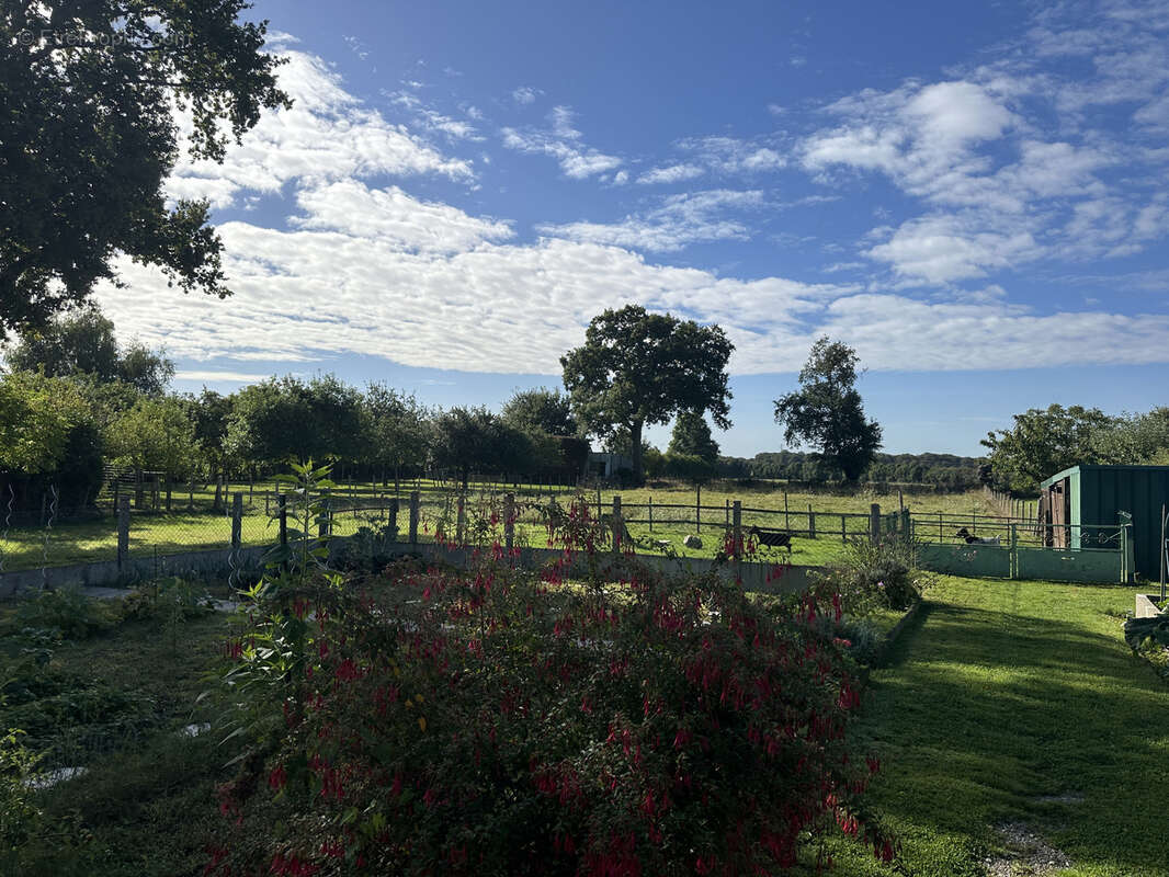 Maison à LA CHAPELLE-SUR-OUDON
