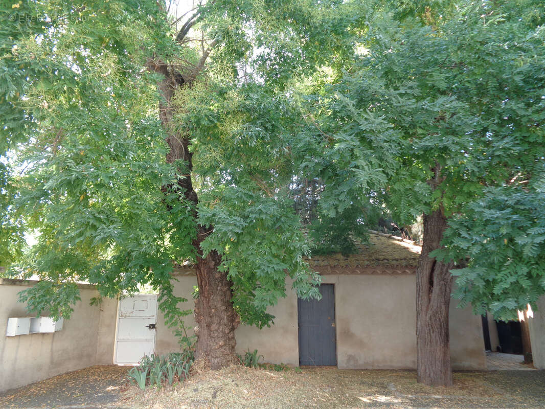 Maison à MONTPELLIER