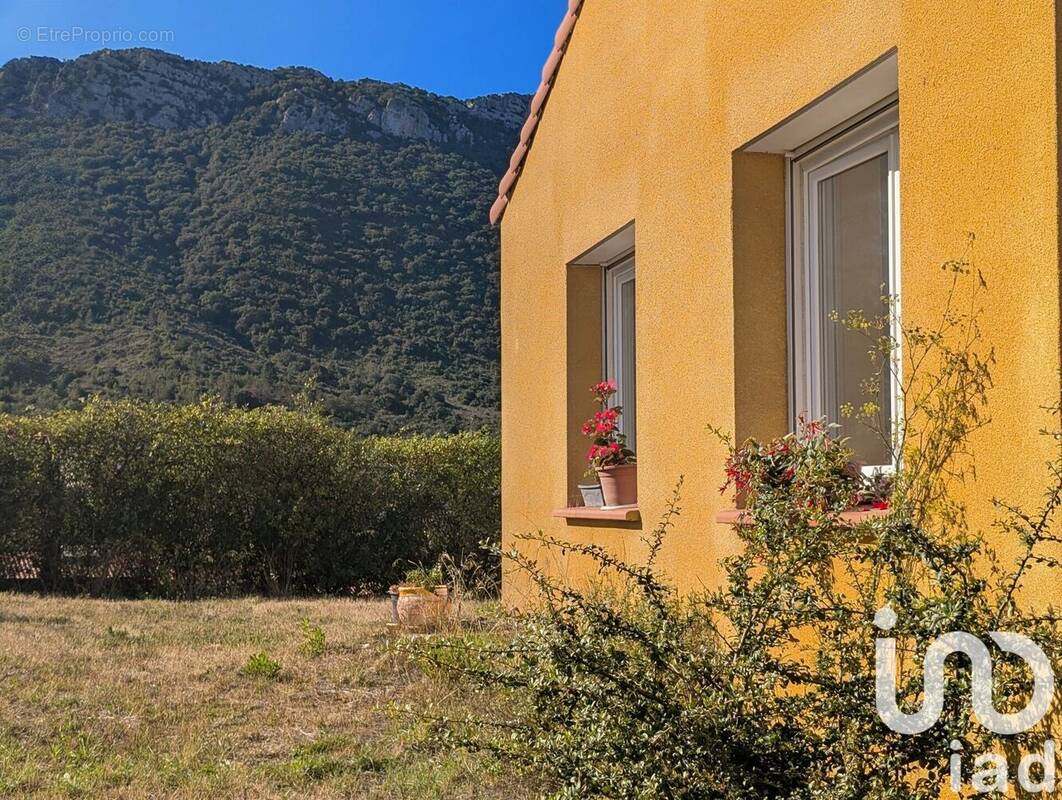 Photo 1 - Maison à SAINT-PAUL-DE-FENOUILLET