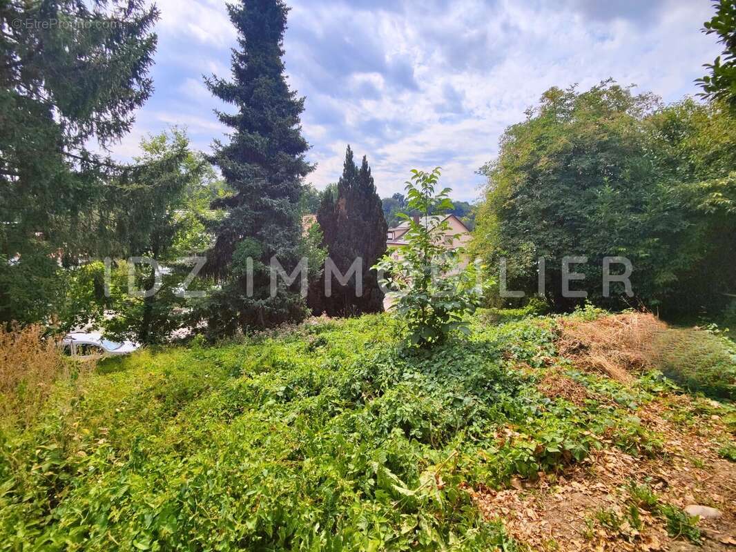 Maison 137 m² à Hegenheim  - photo 2