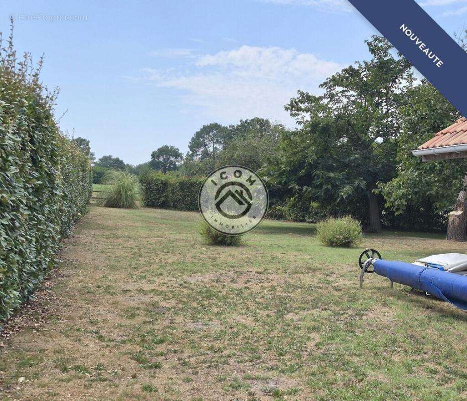 Toit gascon avec piscine et vaste sous-sol aménageable – Haut-Ma - photo 17