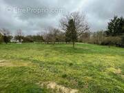 Terrain à CLERE-LES-PINS