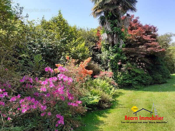 Maison à SALIES-DE-BEARN