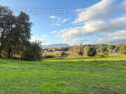 Terrain à BASTELICACCIA